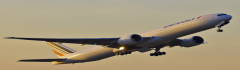 国际空运专线